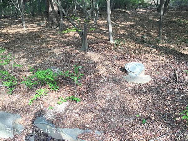 IMG_3021.JPG IMG_3021.JPG