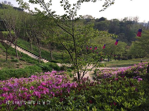 IMG_3026.JPG IMG_3026.JPG