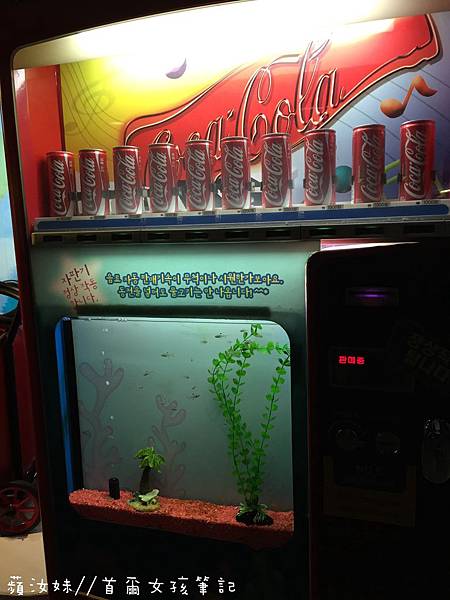 IMG_3807.JPG IMG_3807.JPG