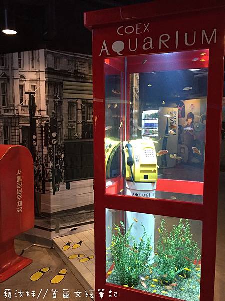 IMG_3808.JPG IMG_3808.JPG