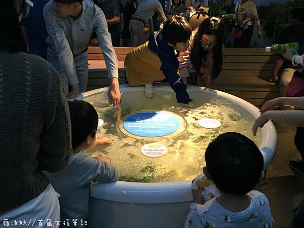 IMG_3812.JPG IMG_3812.JPG