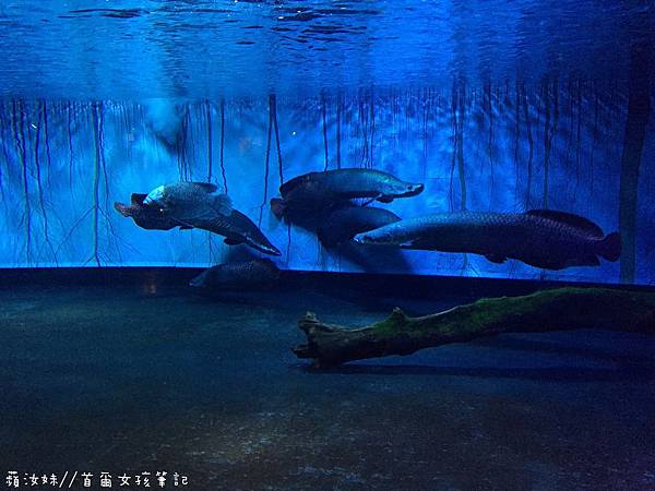 IMG_3816.JPG IMG_3816.JPG