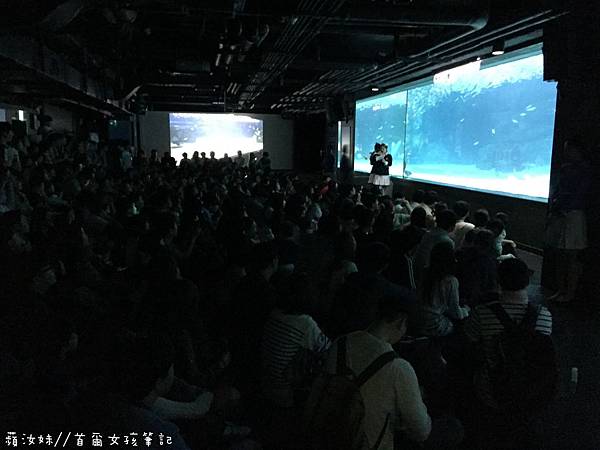 IMG_3819.JPG IMG_3819.JPG