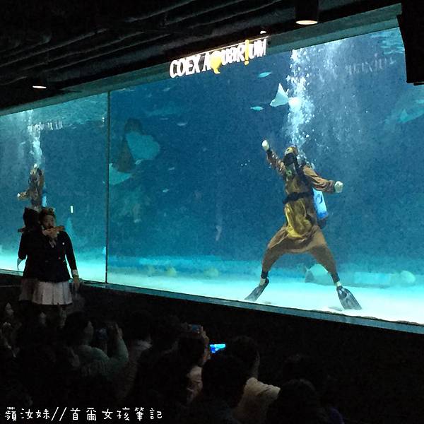 IMG_3835.JPG IMG_3835.JPG