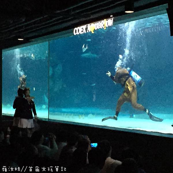 IMG_3836.JPG IMG_3836.JPG