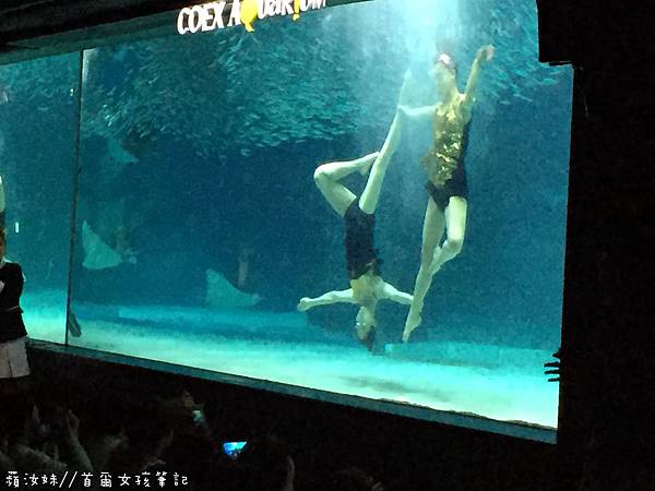 IMG_3838.JPG IMG_3838.JPG