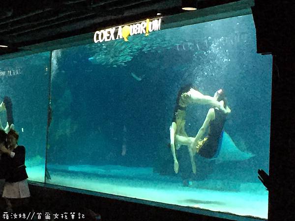 IMG_3841.JPG IMG_3841.JPG