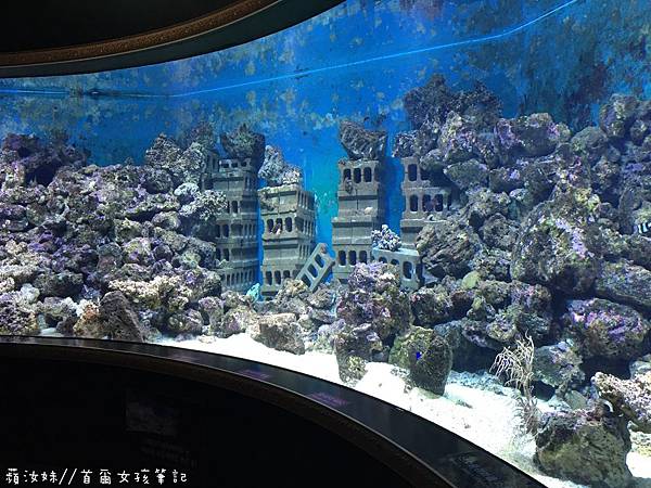 IMG_3846.JPG IMG_3846.JPG