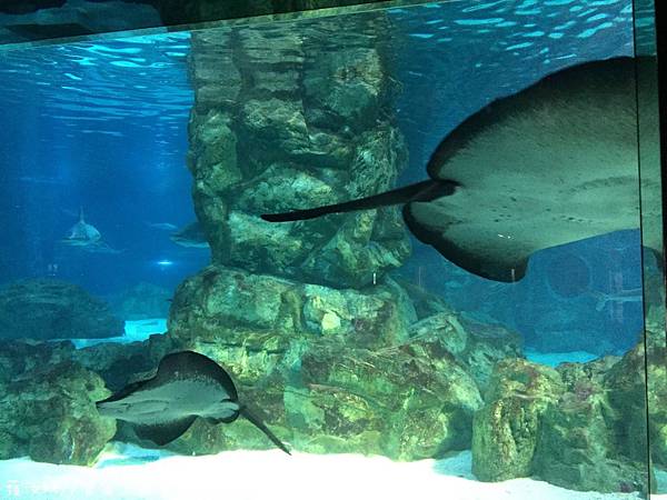 IMG_3849.JPG IMG_3849.JPG