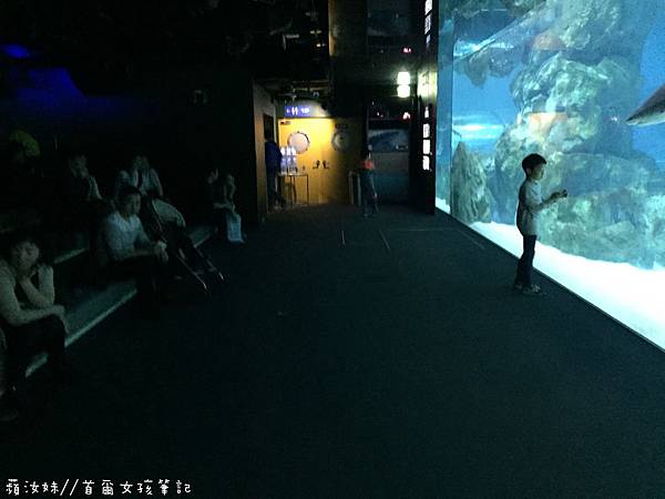 IMG_3850.JPG IMG_3850.JPG