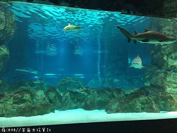 IMG_3852.JPG IMG_3852.JPG