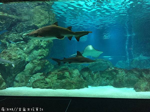 IMG_3853.JPG IMG_3853.JPG