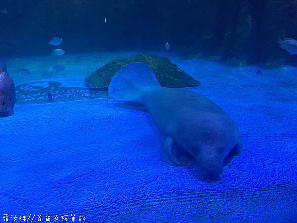 IMG_3856.JPG IMG_3856.JPG