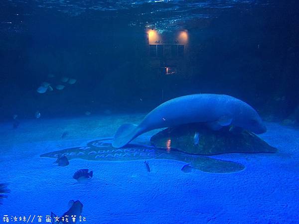 IMG_3857.JPG IMG_3857.JPG