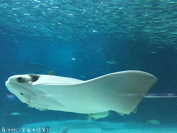 IMG_3860.JPG IMG_3860.JPG