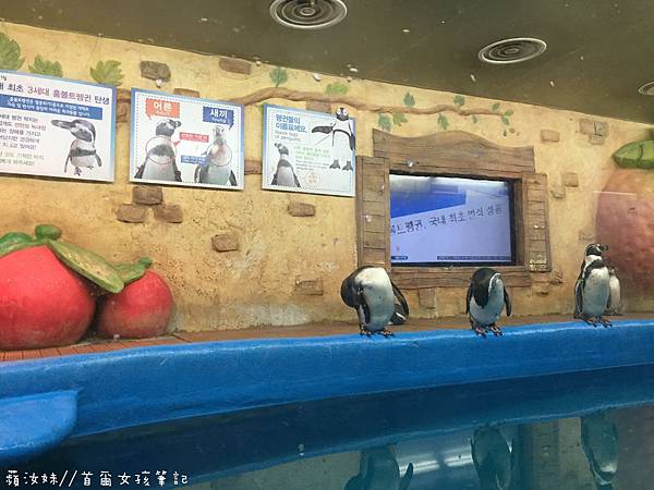 IMG_3873.JPG IMG_3873.JPG