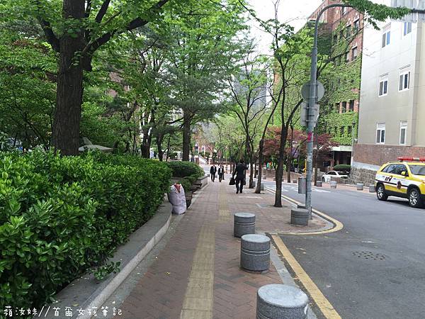 IMG_3503.JPG IMG_3503.JPG