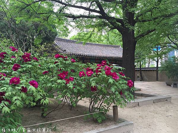 IMG_3535.JPG IMG_3535.JPG