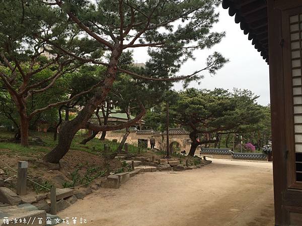 IMG_3547.JPG IMG_3547.JPG