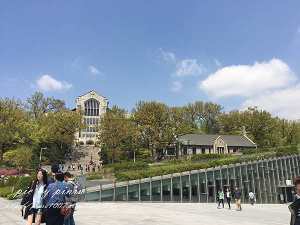 IMG_2993.JPG IMG_2993.JPG