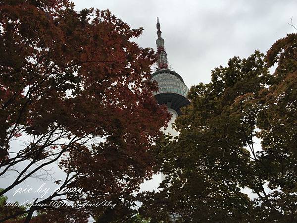 IMG_4936.JPG IMG_4936.JPG