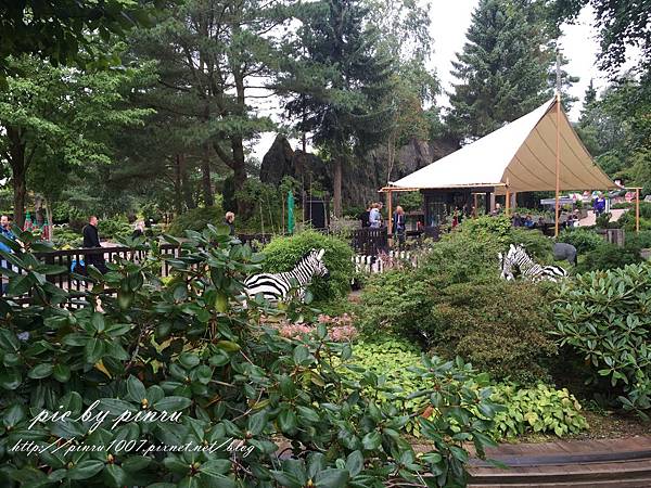 IMG_7909.JPG IMG_7909.JPG