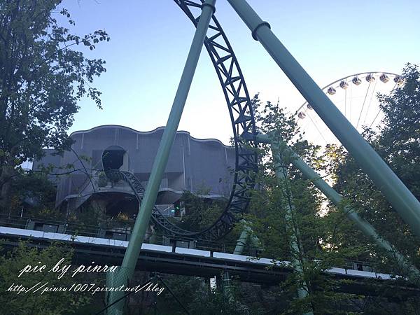 IMG_8266.JPG IMG_8266.JPG