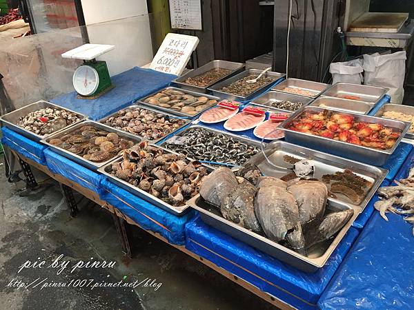 IMG_2954.JPG IMG_2954.JPG