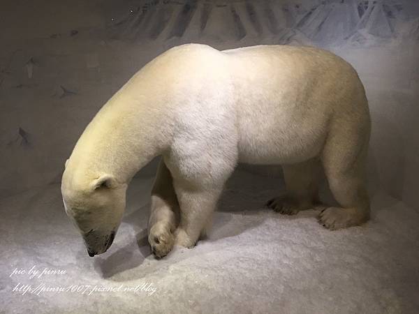 IMG_1434.JPG IMG_1434.JPG