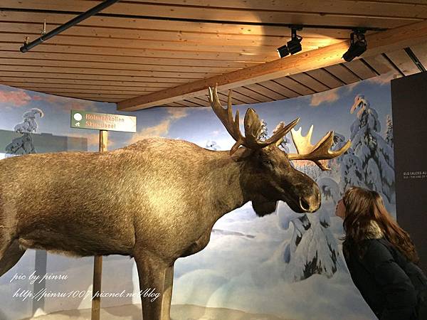 IMG_1462.JPG IMG_1462.JPG