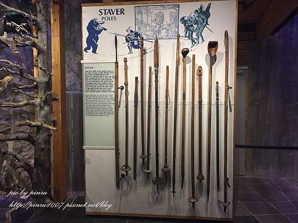 IMG_1452.JPG IMG_1452.JPG