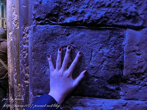 CIMG0665.JPG CIMG0665.JPG