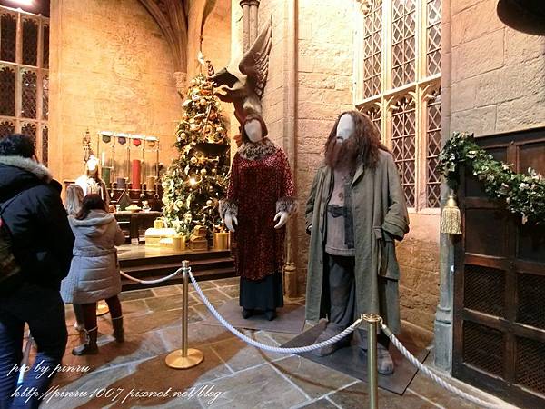 CIMG0690.JPG CIMG0690.JPG