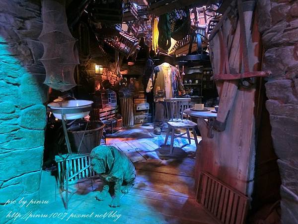 CIMG0809.JPG CIMG0809.JPG