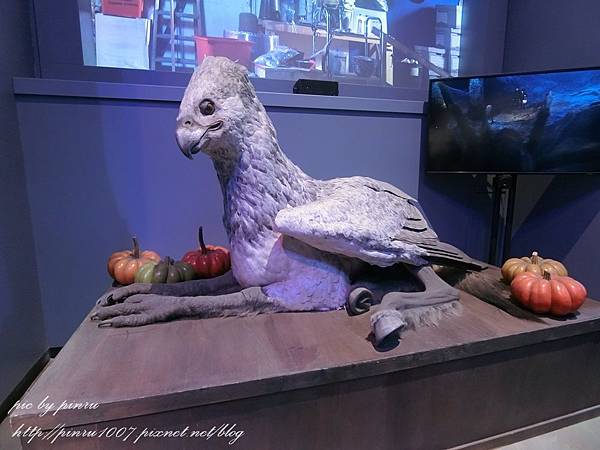 CIMG1040.JPG CIMG1040.JPG