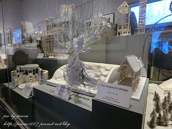 CIMG1087.JPG CIMG1087.JPG