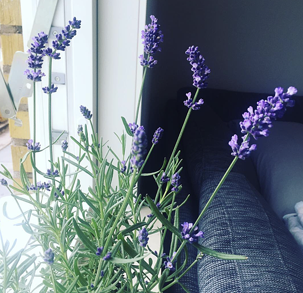 螢幕快照 2018-09-26 16.49.00.png 螢幕快照 2018-09-26 16.49.00.png