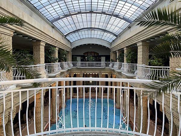 IMG_8323.jpeg IMG_8323.jpeg