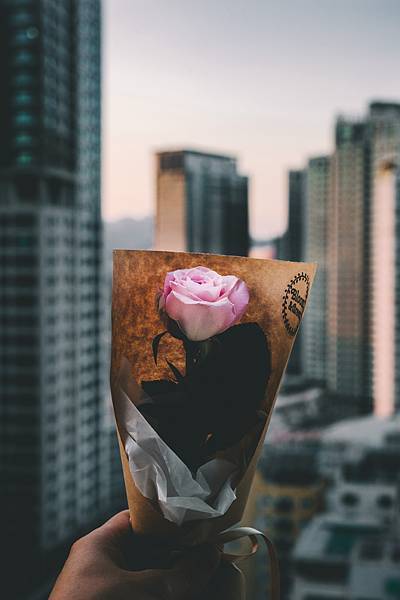 bundo-kim-ZLHL5EBVvb8-unsplash.jpg bundo-kim-ZLHL5EBVvb8-unsplash.jpg