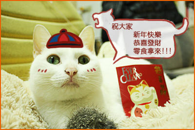 happymeowyear2010.jpg