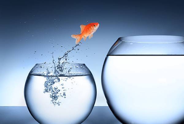10-Hardest-Life-Fish-Bowl.jpg 10-Hardest-Life-Fish-Bowl.jpg