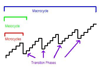 cycles.jpg