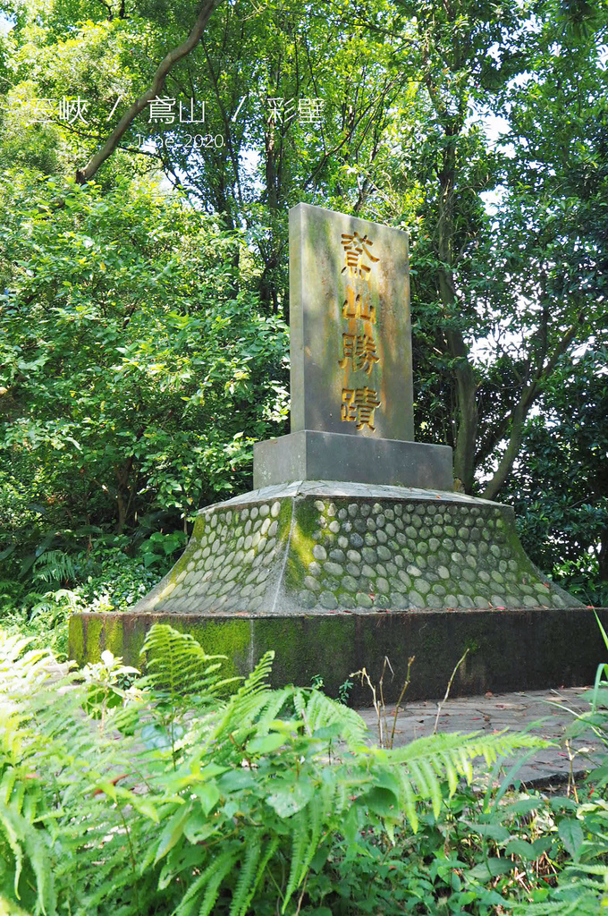 IMG_0038.JPG IMG_0038.JPG