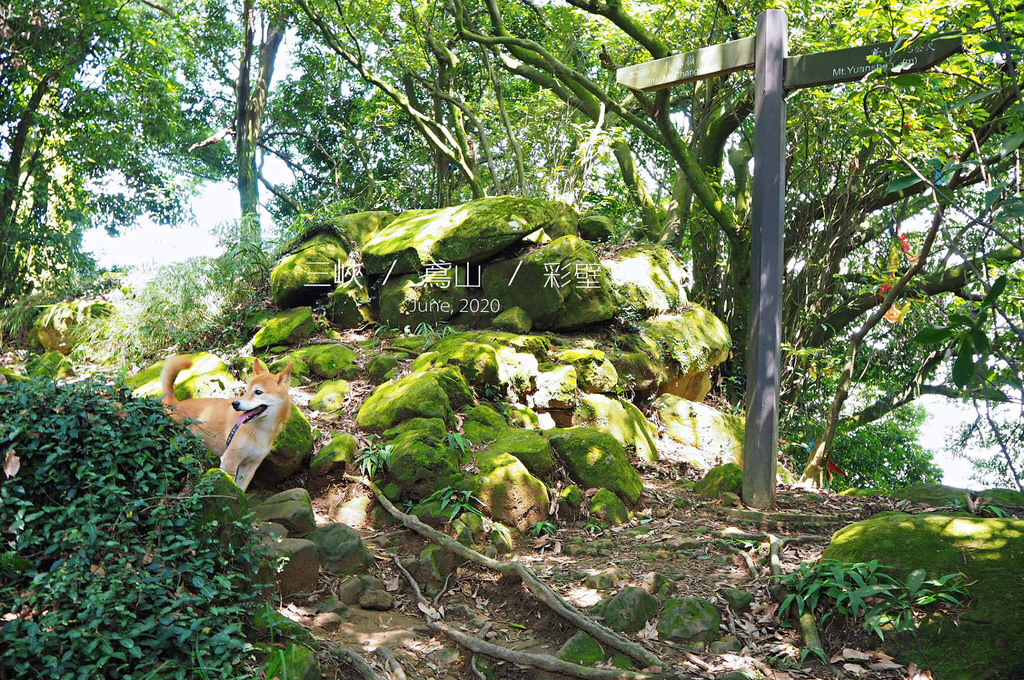 IMG_0043.JPG IMG_0043.JPG