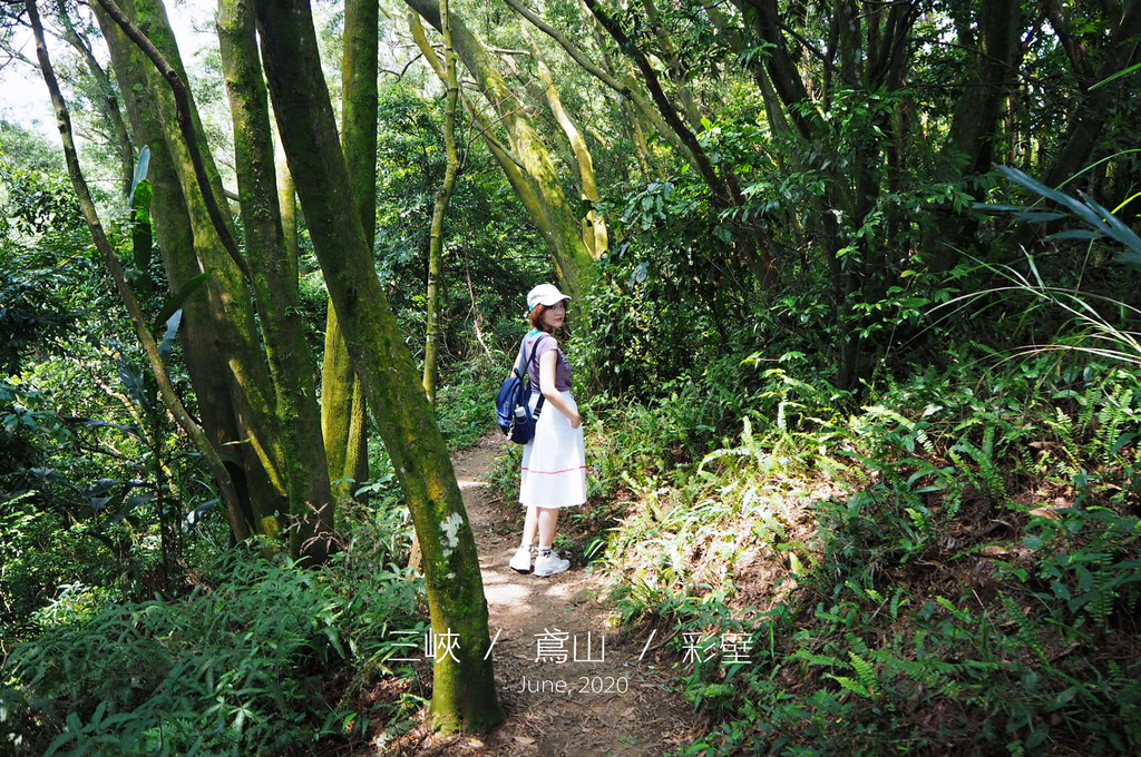 IMG_0044.JPG IMG_0044.JPG