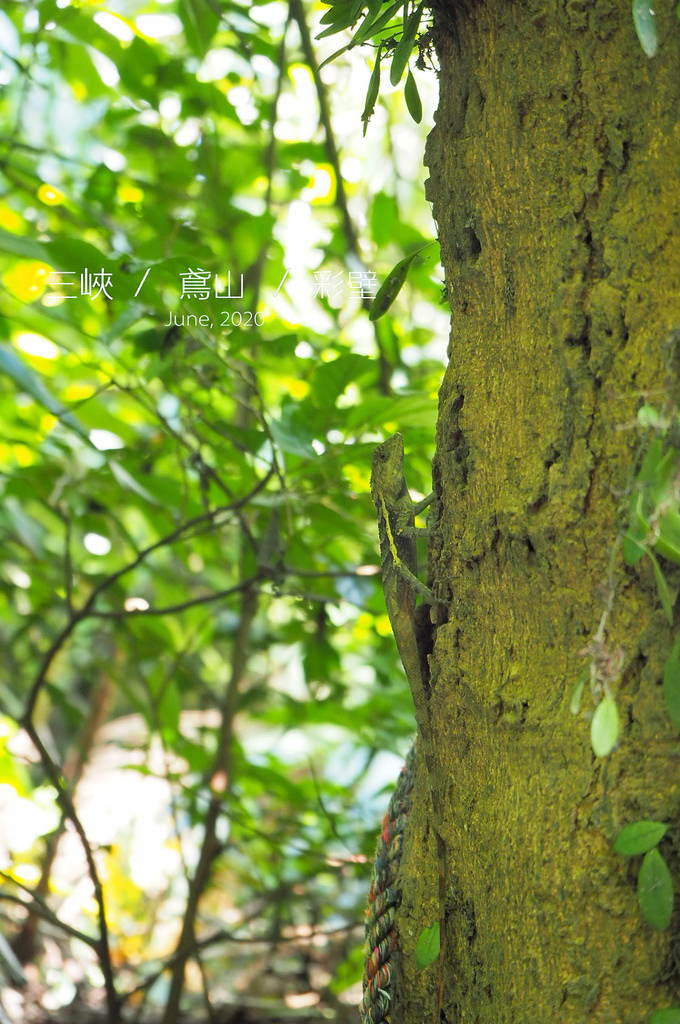 IMG_0052.JPG IMG_0052.JPG