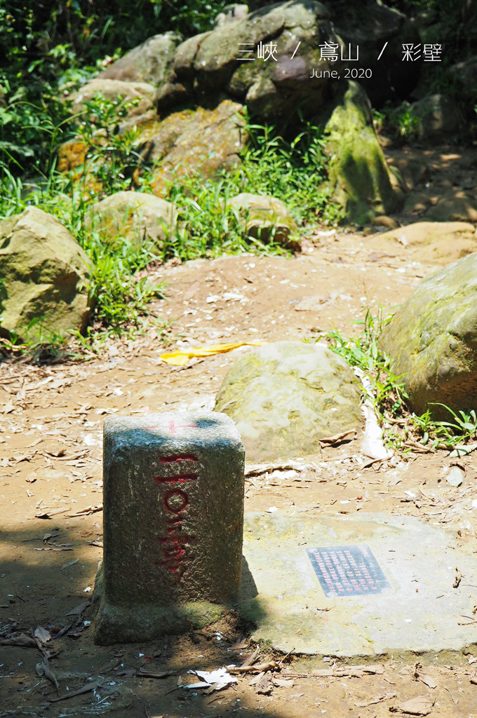 IMG_0049.JPG IMG_0049.JPG