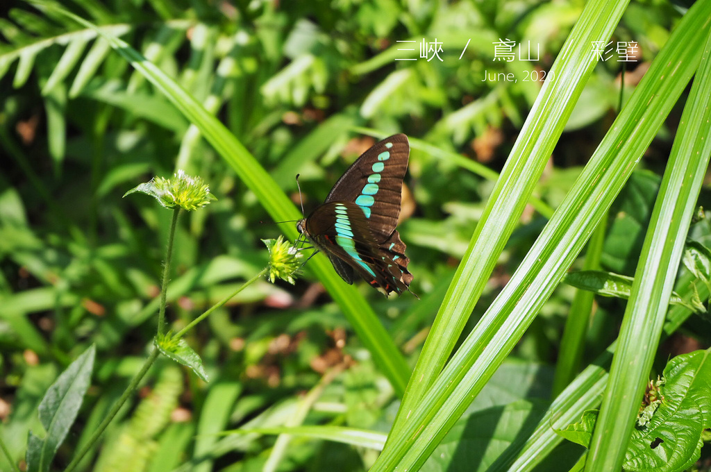 IMG_0053.JPG IMG_0053.JPG