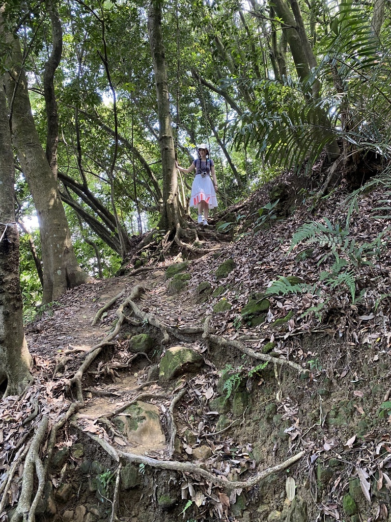 IMG_0895.JPG IMG_0895.JPG