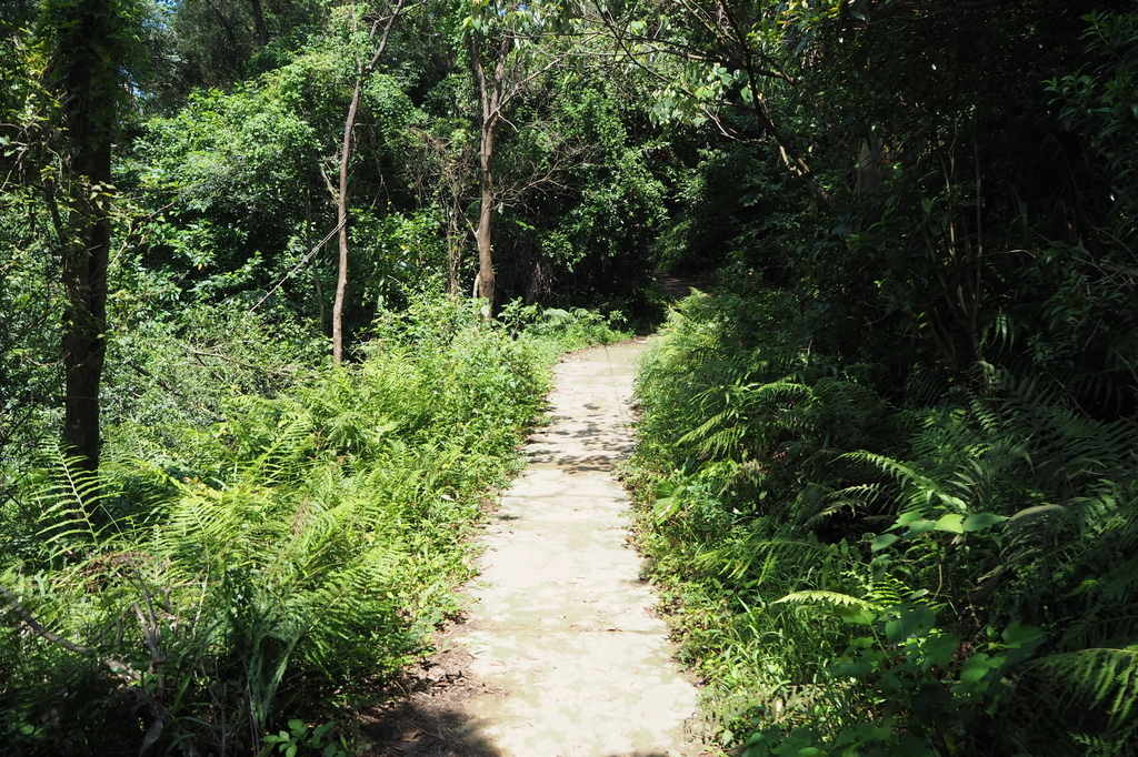 P6135679.JPG P6135679.JPG